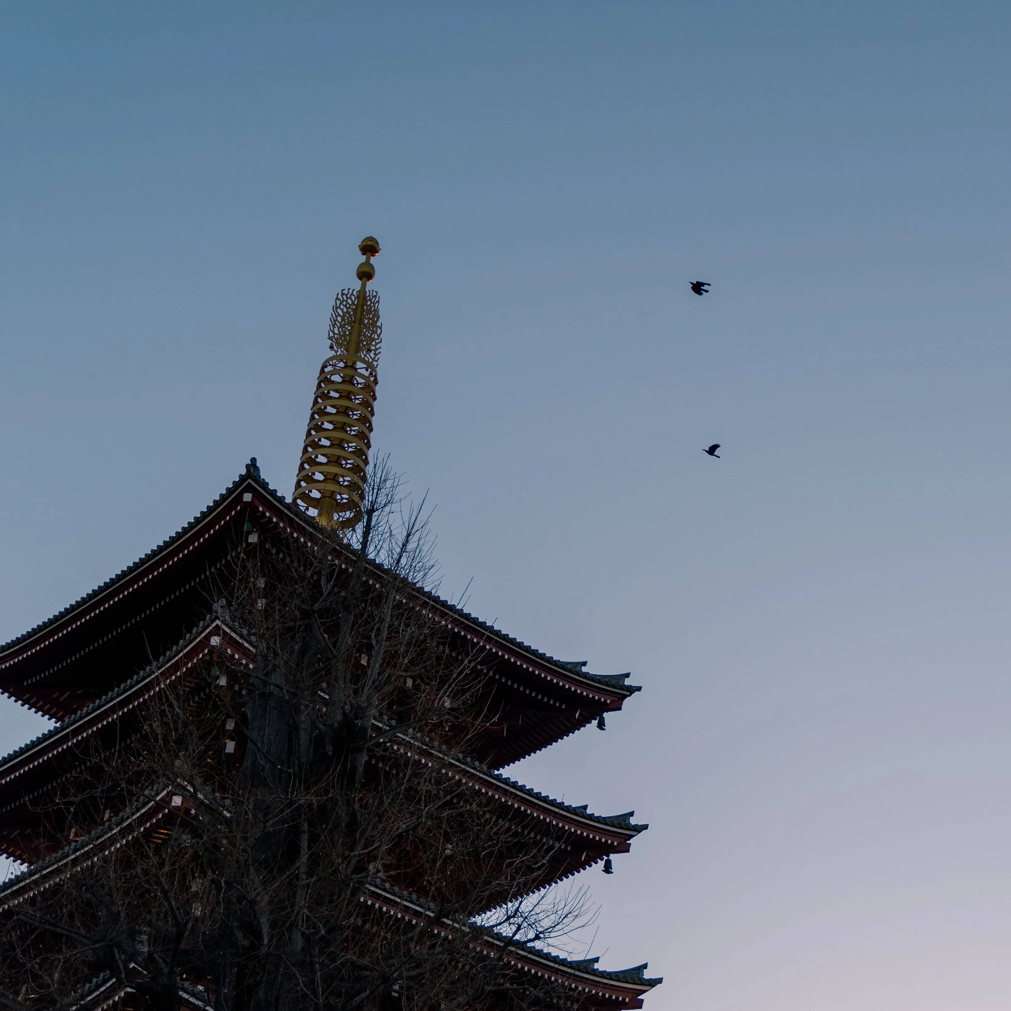 東京 | 浅草