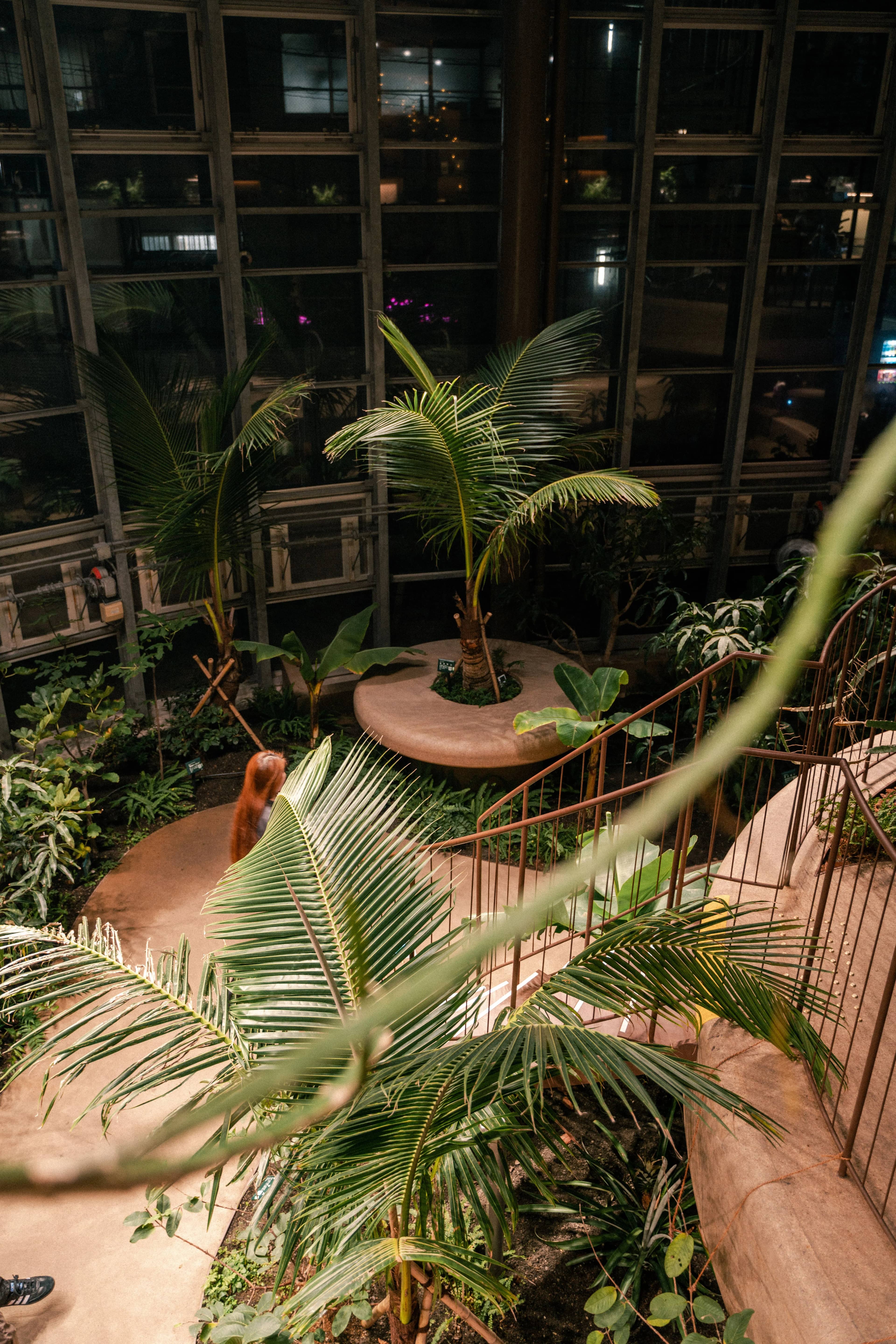 東京 | 渋谷区ふれあい植物センター