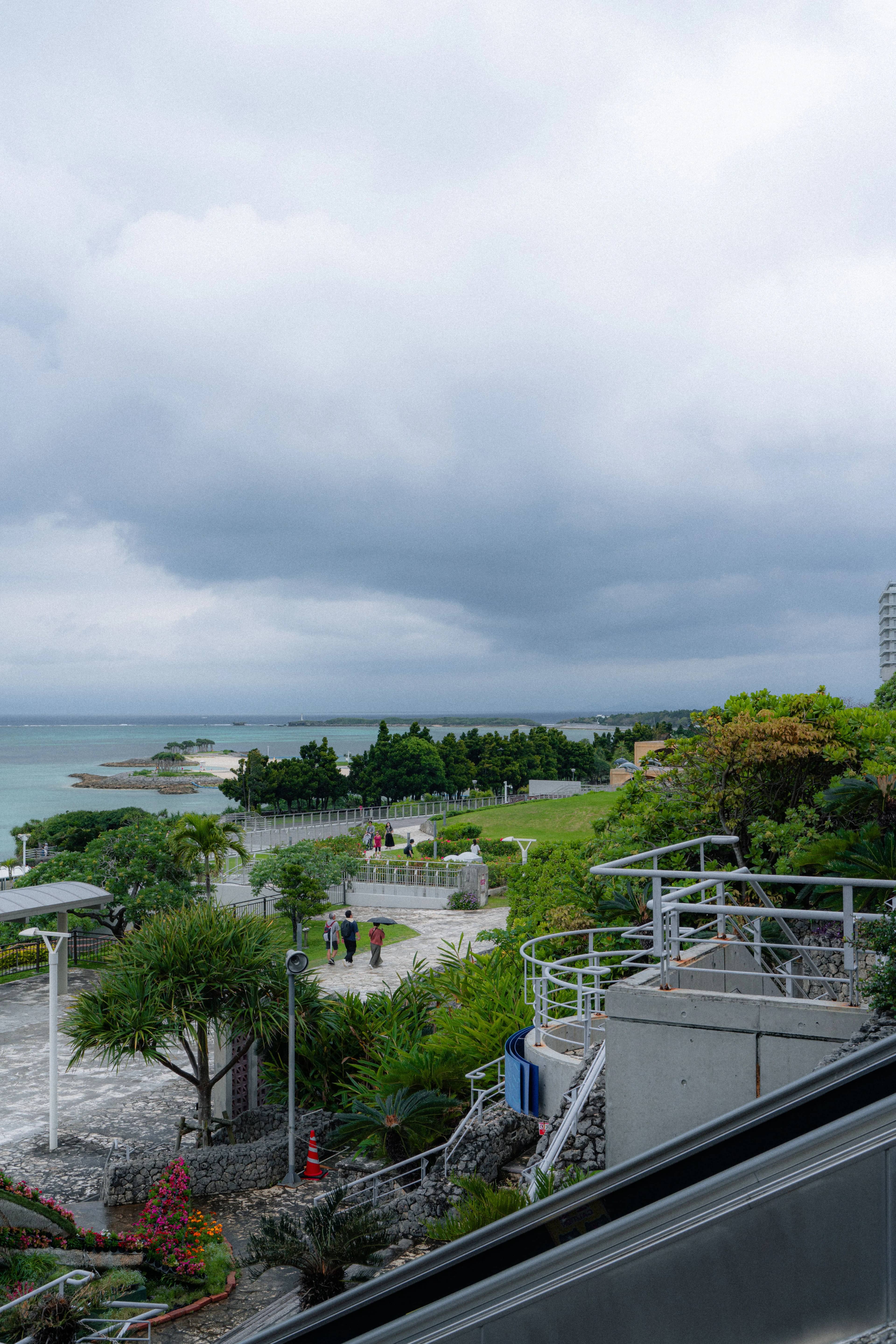 沖縄 | 美ら海水族館